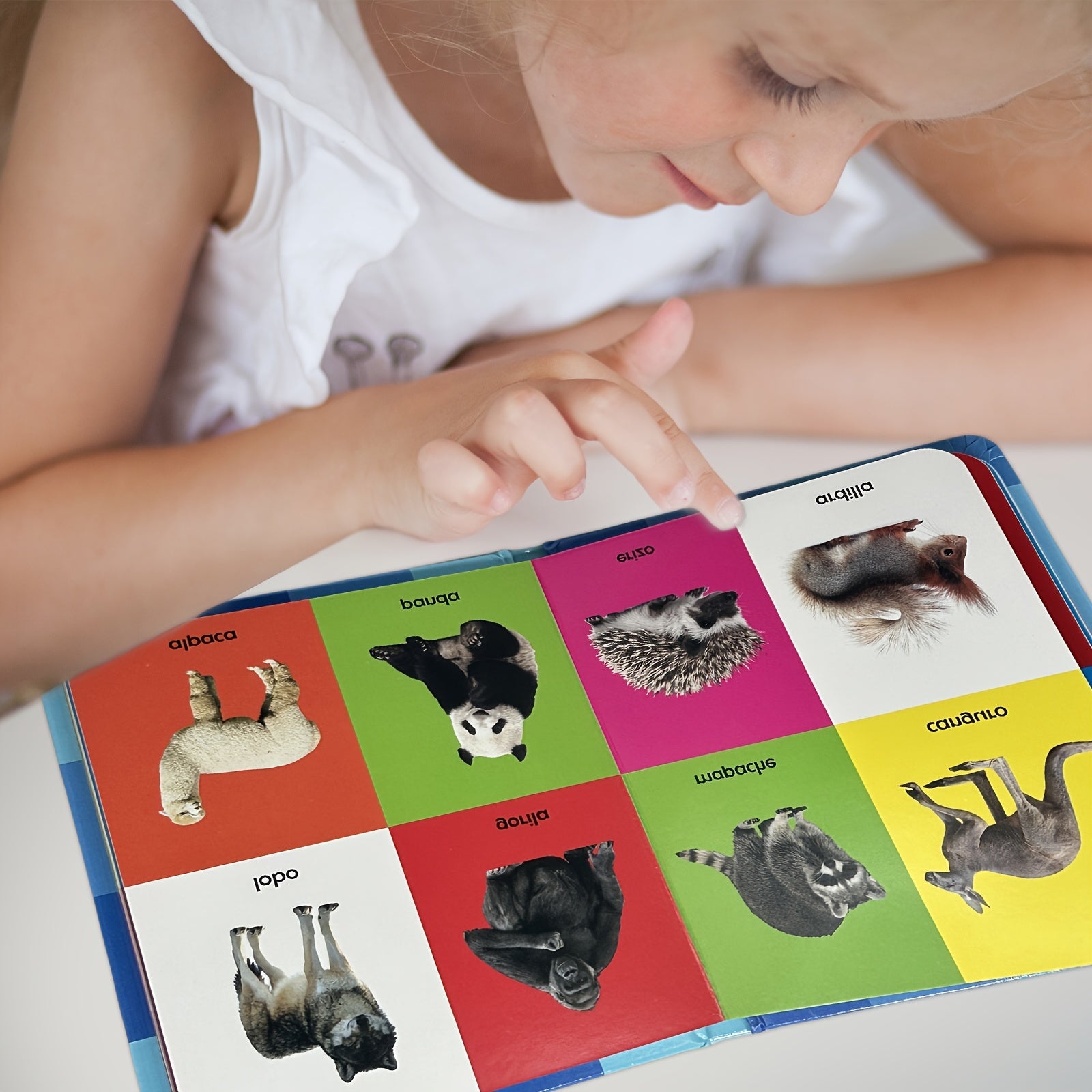 Bolalar uchun Ispancha Encyklopediyasi taxtasi Kitoblari, 4+ yoshdagi bolalar uchun ta'limiy o‘quv ko‘nikmalari