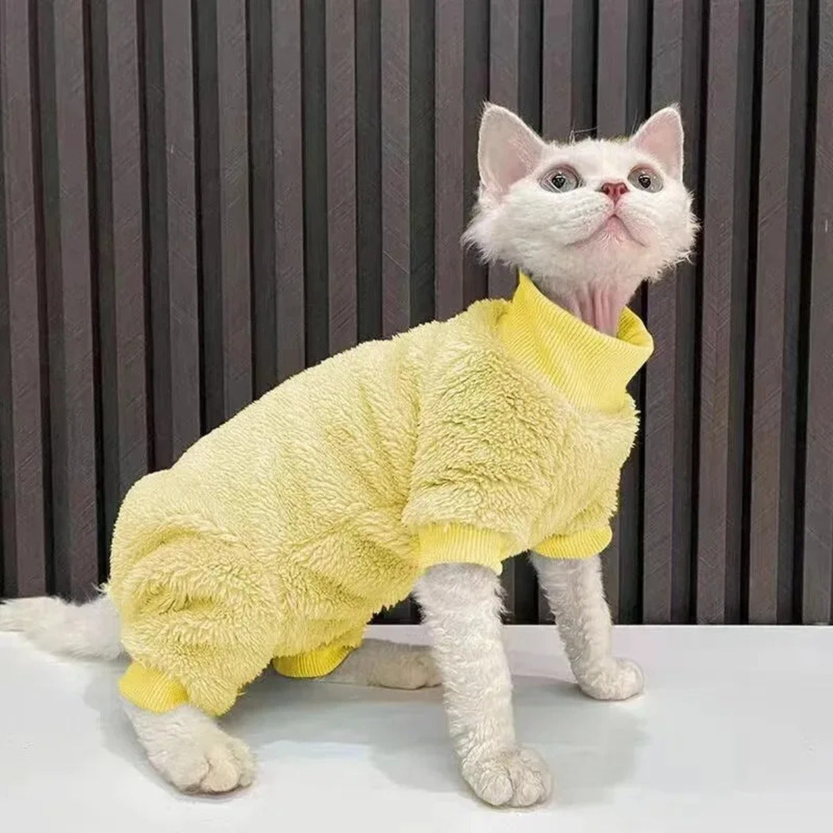 Stretch Velvet Cat Sweater for Hairless Devon Sphynx Small All-Season Pullover