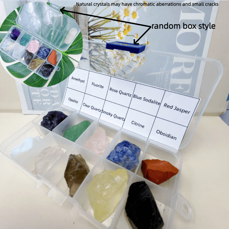 Juego de 10 rocas y minerales naturales en una caja