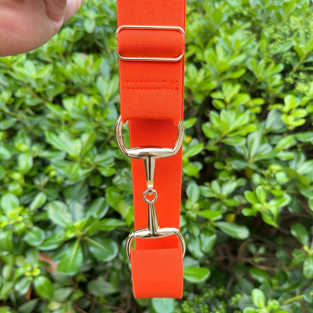 Women's Equestrian Waist Belt with Golden Metal Buckle Fashion Girdle Accessory