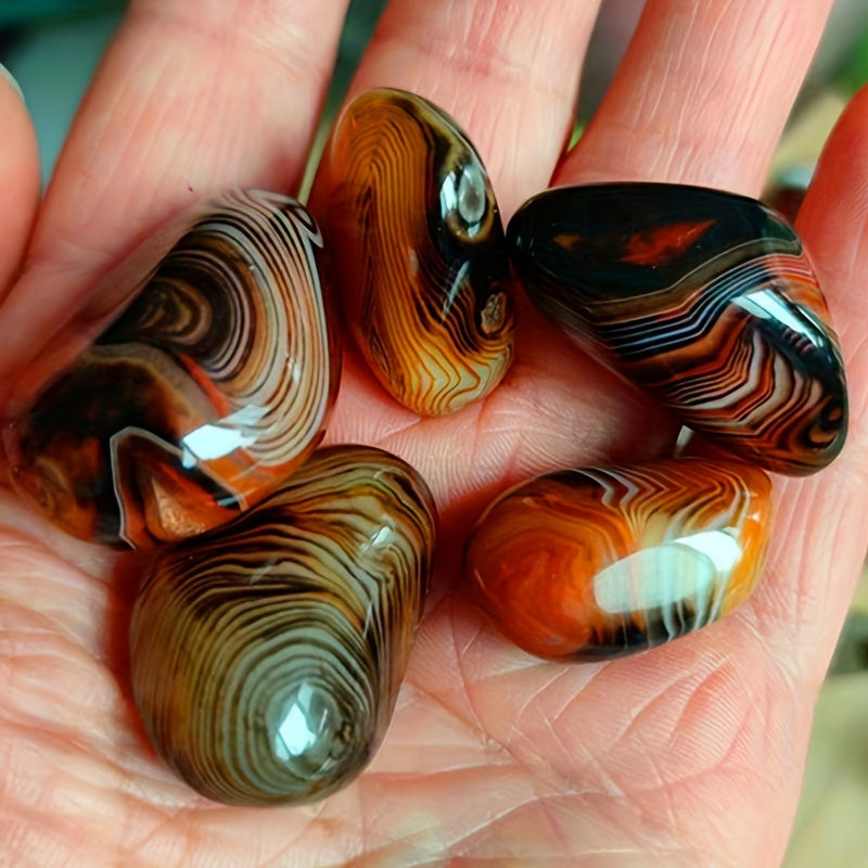 5-Piece Natural Agate Stone Set for Flower Pots Aquariums and Decorations