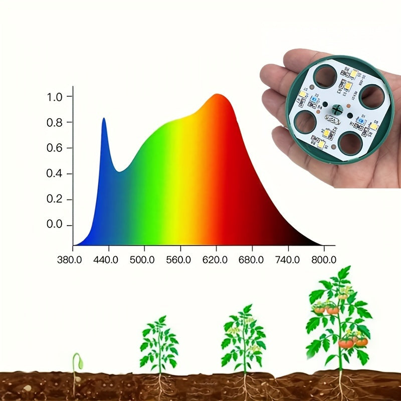 Kit de propagación de plántulas con luz de crecimiento de 8 núcleos y control de iluminación de 24 horas