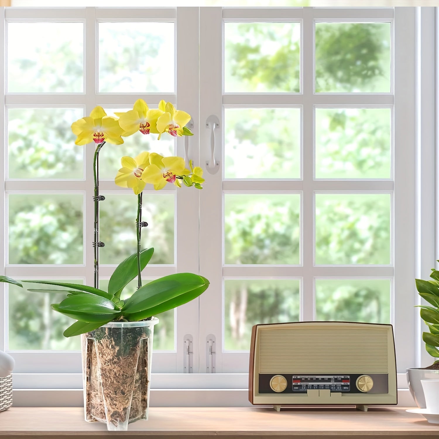 Set of 5 Round Plastic Orchid Pots with Drainage Holes for Indoor Outdoor Use