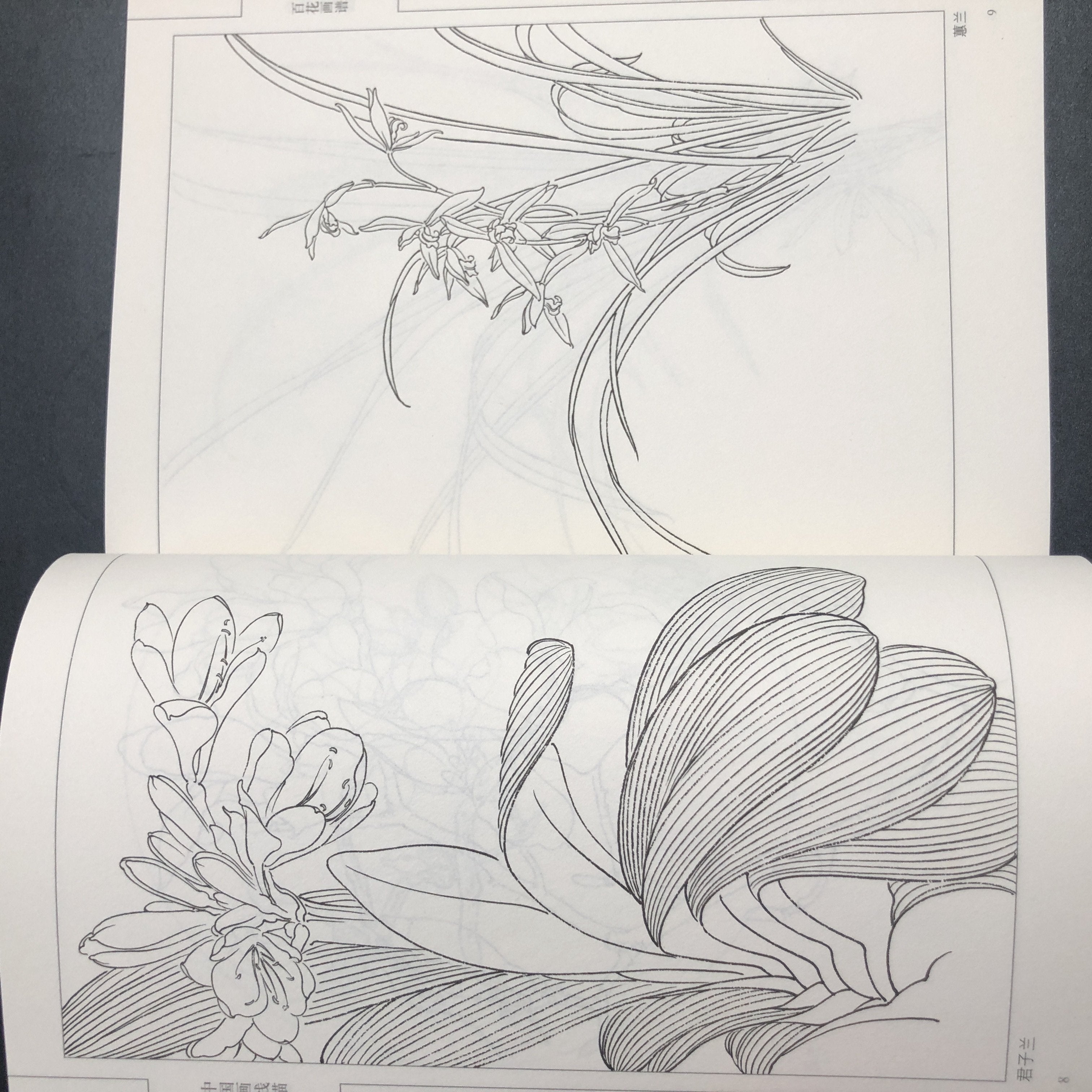 An'anaviy Xitoy Siyoh Gul Rassomi Qo'llanmasi. Xitoy Versiyasi.