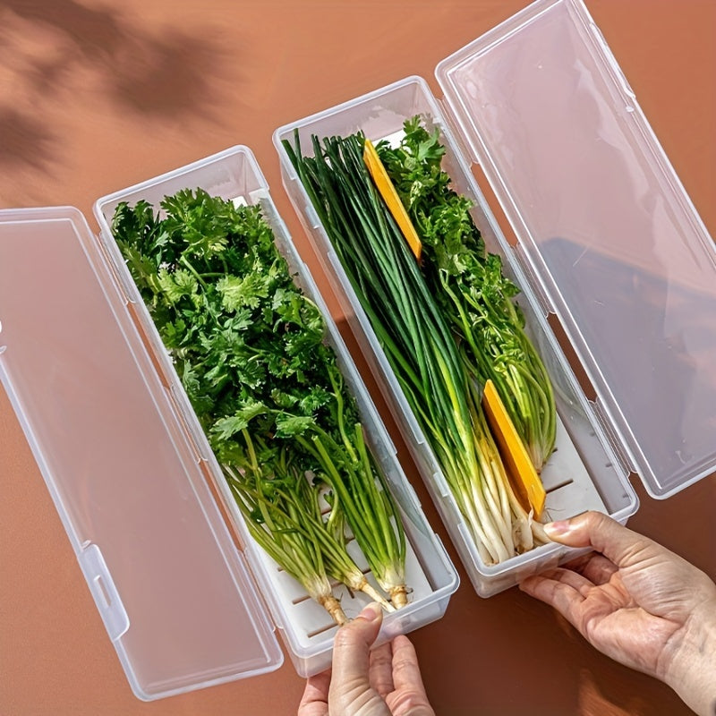 Clear Plastic Vegetable Storage Box with Drainage for Kitchen Organization