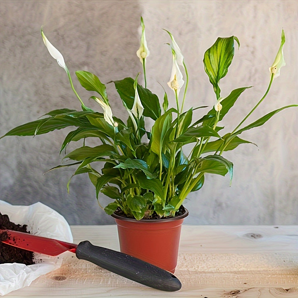 50-Pack Plastic Cone Seedling Cups with Drainage Holes for Indoor Outdoor Planting