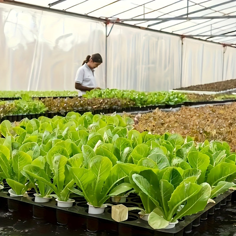 Planting Cubes for Agriculture Gardens and Fields Water Storage Soilless Cultivation