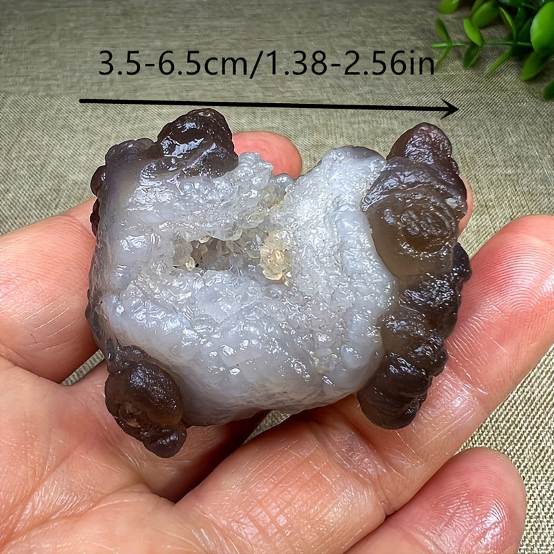 Natural Pictographic Agate Geode with Quartz Crystal Stone