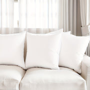 Standard Throw Pillow Insert with Washable Polyester Fiber Filling Zipper Closure for Couch Bed Sofa