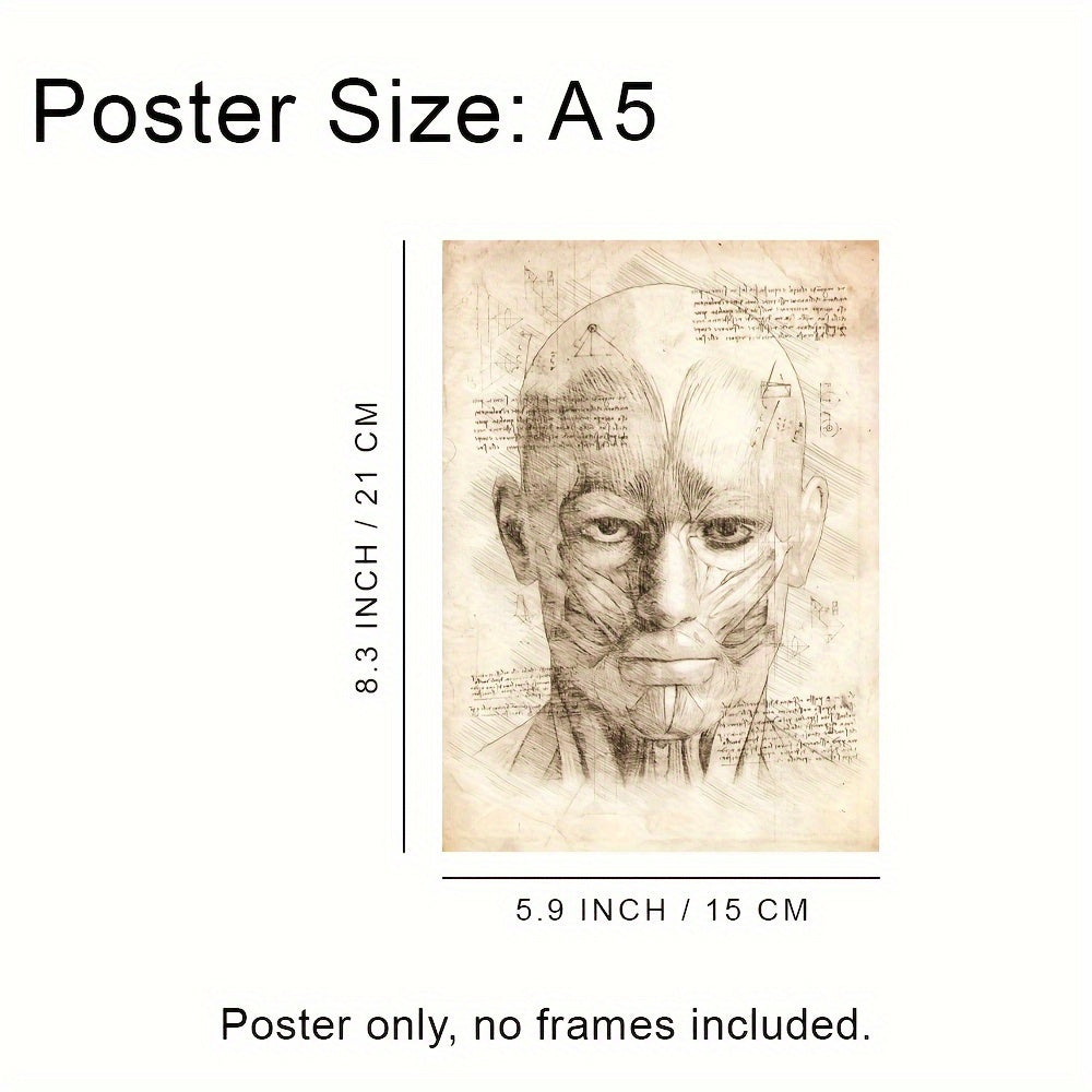 Set of 12 Vintage Anatomy Posters Wall Art Unframed for Living Room Bedroom Decor 21.08cm x 14.99cm
