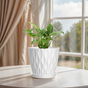 Set of 5 Boho Striped Plastic Flower Pots with Saucers 6-Inch Round Indoor Outdoor