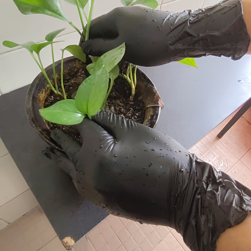 Guantes de nitrilo para cocina, lavado de platos, resistentes al aceite, sin olor, elásticos, paquete de 20 o 50