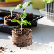 Compressed Peat Particles for Seed Germination and Moisture Retention 50/100pcs