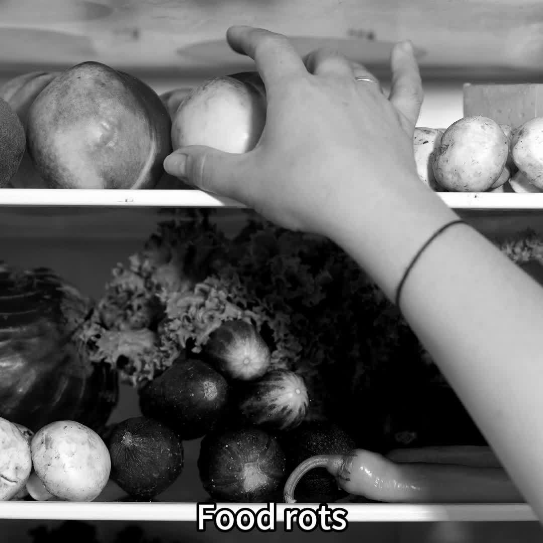 Портативный USB-заряжаемый автоматический вакуумный запайщик с двойным всасыванием для домашнего и уличного использования