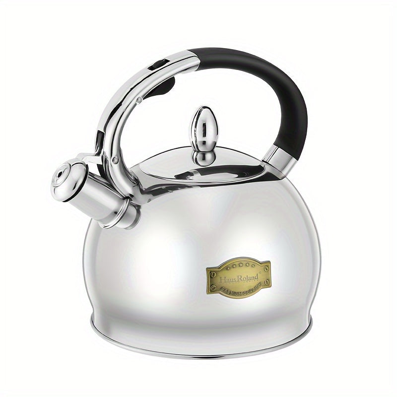 Stainless Steel 3L Gas Kettle with Creative Design for Open Flame Cooking