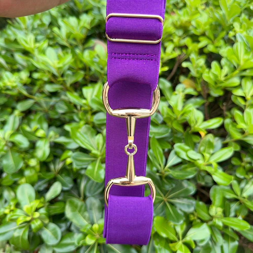 Women's Equestrian Waist Belt with Golden Metal Buckle Fashion Girdle Accessory