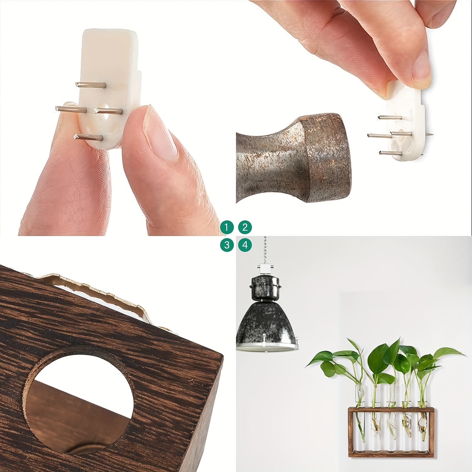 Glass Plant Container with Wooden Stand and Test Tubes for Hydroponic Indoor Gardening