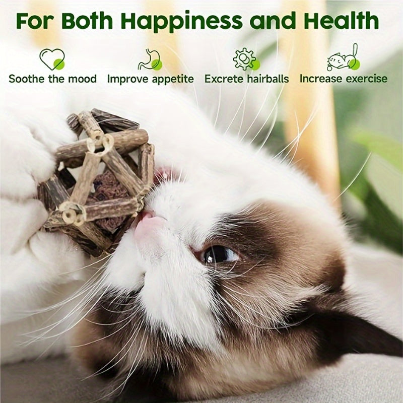 Interactive Rattan Cat Toy with Bells for Indoor Cats Dental Health and Teeth Cleaning