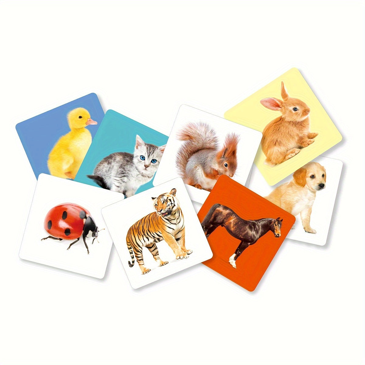 Educational Animal Flashcards for Toddlers 2-10 Double-Sided 24 Pictures