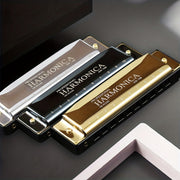 10-Hole C Key Blues Harmonica with Hard Case Stainless Steel Polished for Beginners Professionals