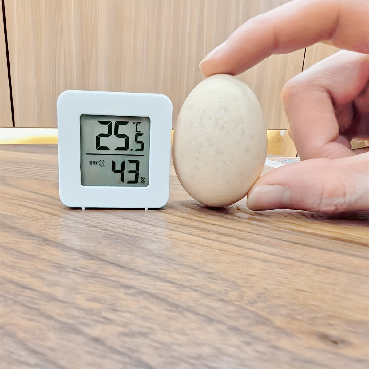 Mini Digital Thermometer and Hygrometer Indoor Outdoor Battery-Operated