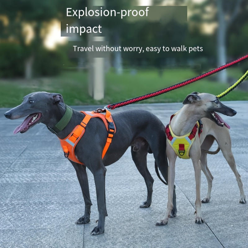 Katta zotlar uchun mustahkam, sozlanadigan taktik it yelkası, oson boshqarish tutqichi va sozlanadigan tasmalari bilan, bir nechta ranglarda mavjud.