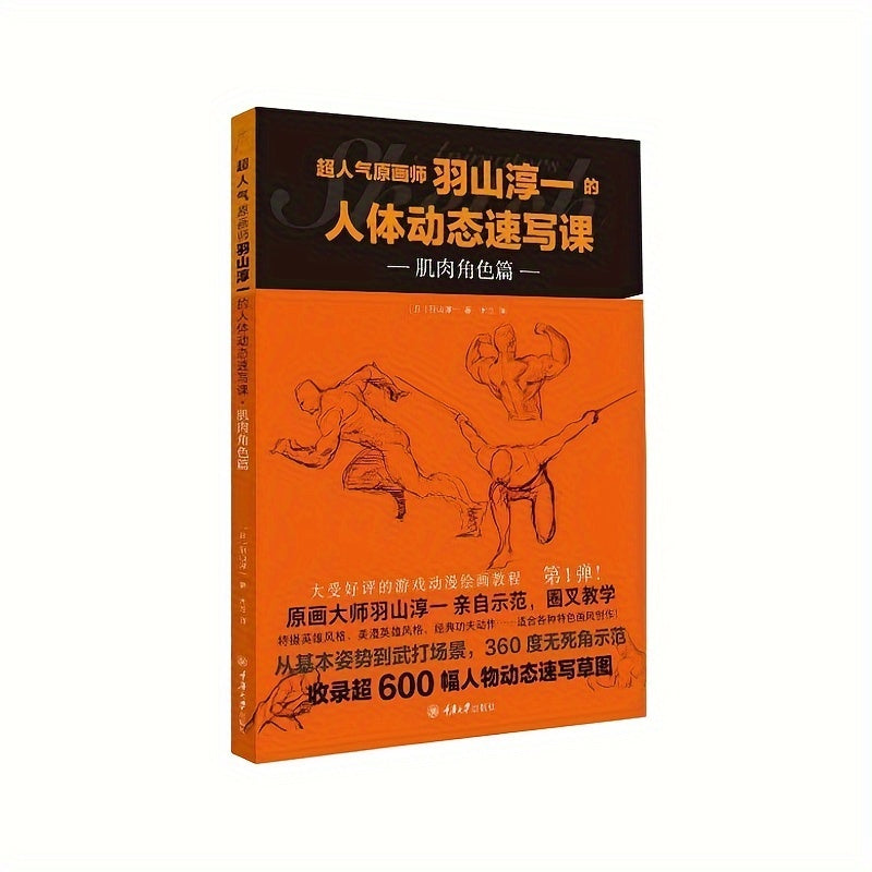 Human Figure Drawing Book Muscle Anatomy Edition Paperback Chinese Language