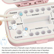 Tooth Fairy Keepsake Box Food Grade PP Tooth Holder for Kids Teeth Storage Organizer