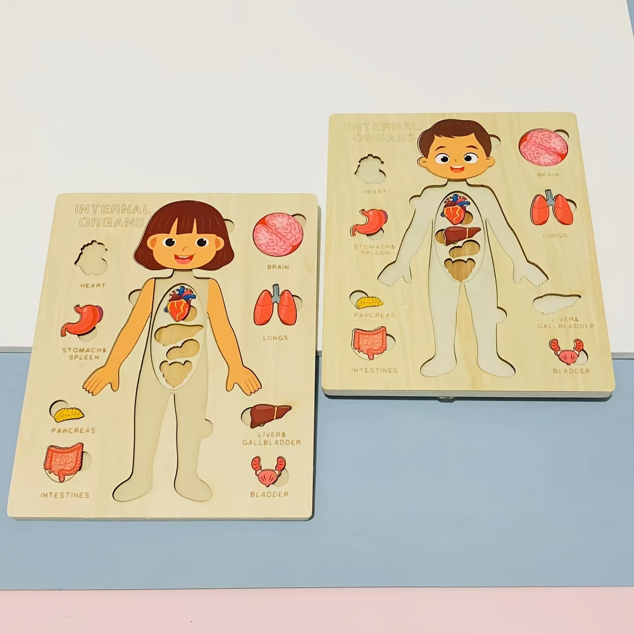 Образование детей через интерактивные деревянные пазлы: содействие обучению, когнитивному развитию, пониманию человеческой анатомии и укреплению связей между родителями и детьми с игрушками для мам и малышей.