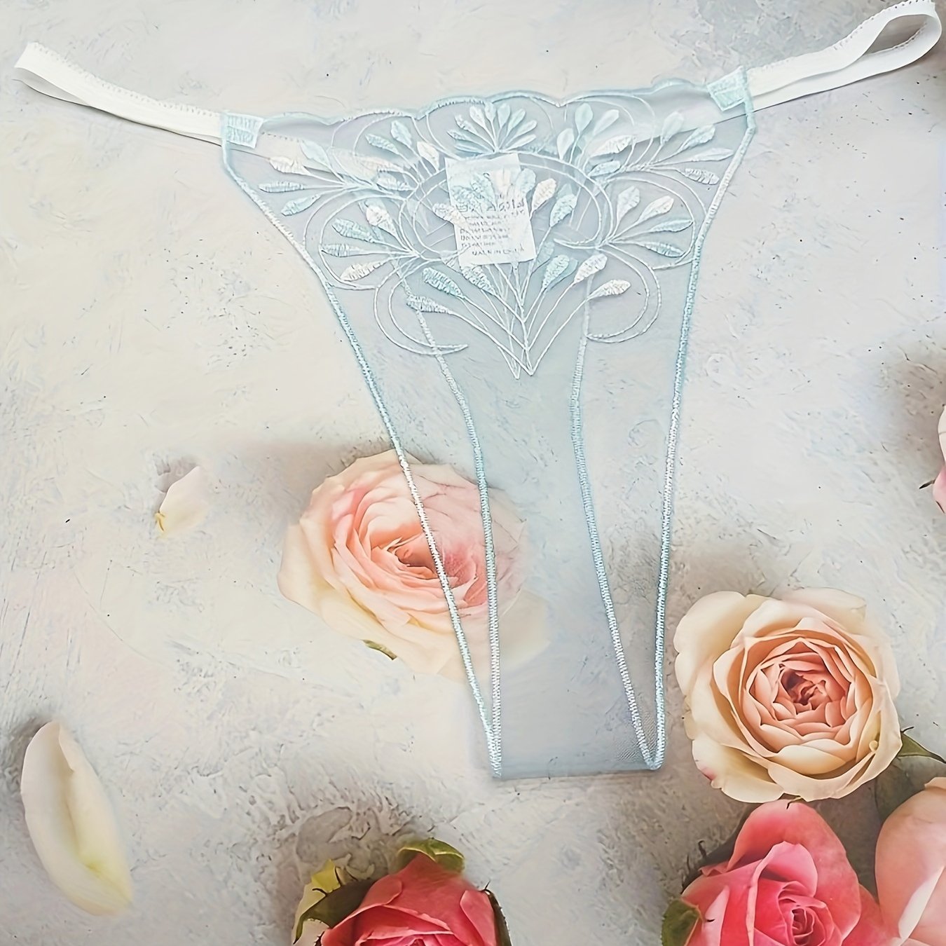 Women’s Blue Transparent Thong Panties with Net Embroidery and Pattern Design