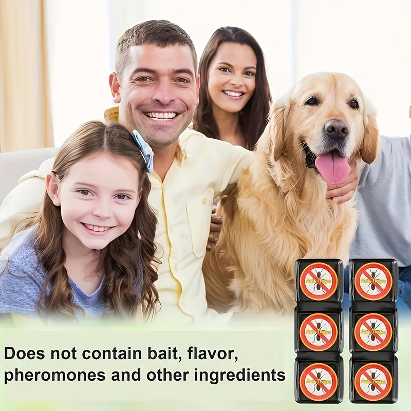 Trampa efectiva para hormigas en interiores, segura para uso en la cocina