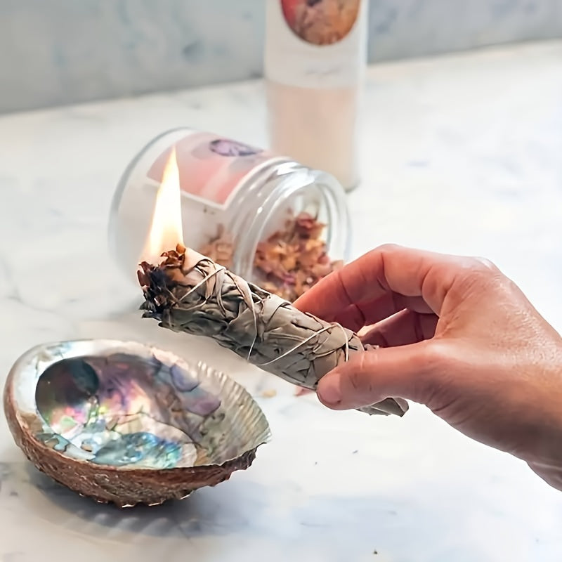 Large Abalone Shell Bowl for Smudging 9.65-11.94 cm