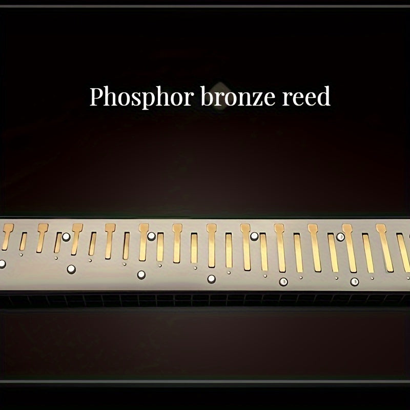 Губная гармошка диатоническая на 24 отверстия в тональности C, черный металл, с футляром