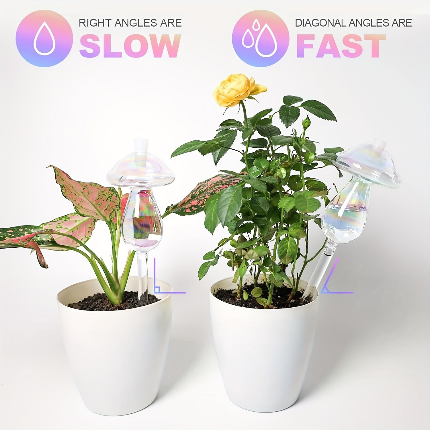 4-упаковка лейки для полива грибов с автоматическим капельным орошением из стекла для садов.