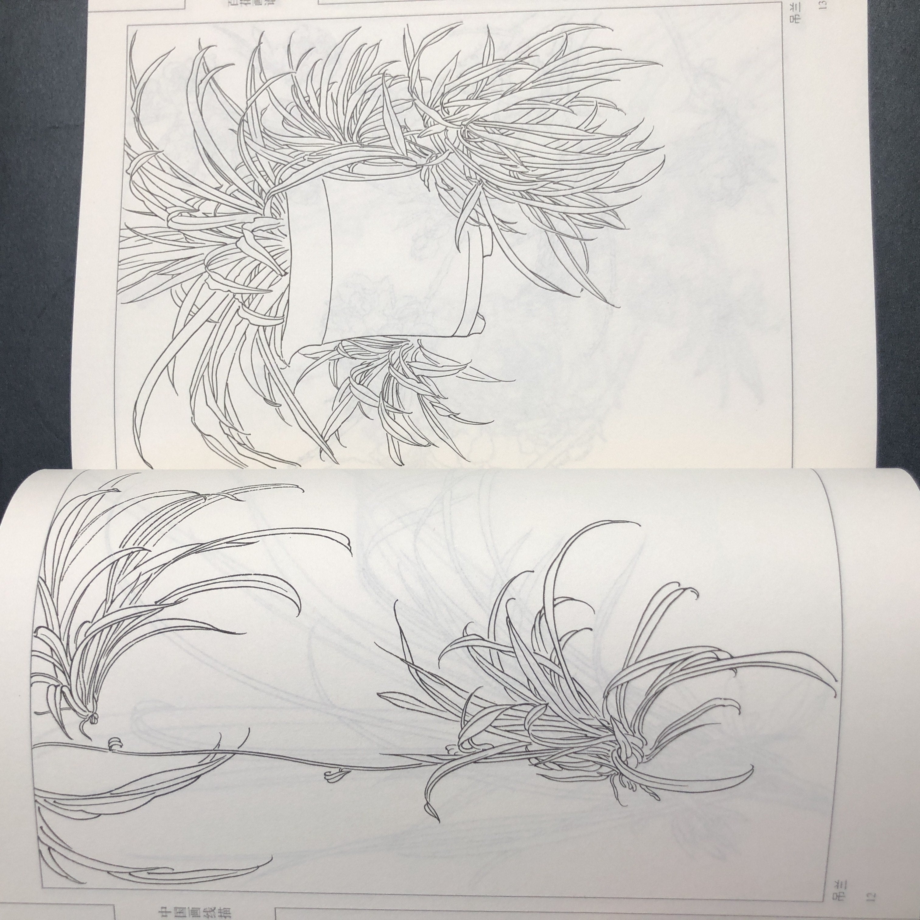 An'anaviy Xitoy Siyoh Gul Rassomi Qo'llanmasi. Xitoy Versiyasi.