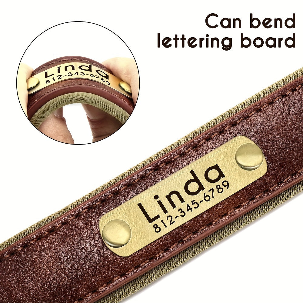 Customized Faux Leather Dog Collar with Neoprene Padding and Nameplate for Small to Medium Dogs