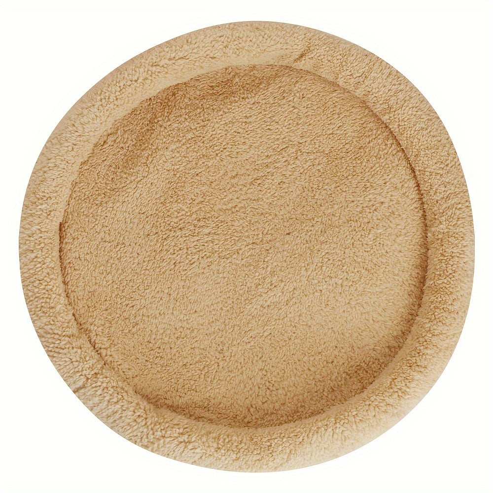 Modern Raw Wood Wall-Mounted Cat Bed for Indoor Cats