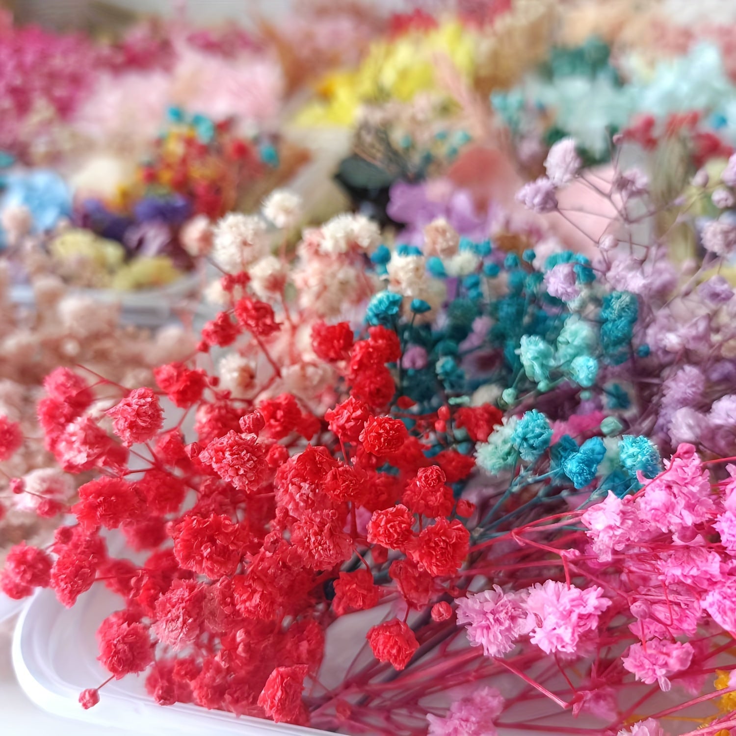 Preserved Flower Kit for DIY Projects with Picture Frame Candles and Embossed Flowers