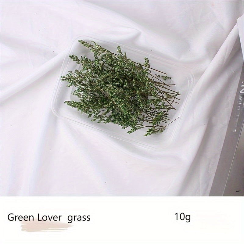 Бохо-Шик Рождественский Набор для Ремесел: Натуральный Растительный Декор для DIY Проектов, Венков и Подарков